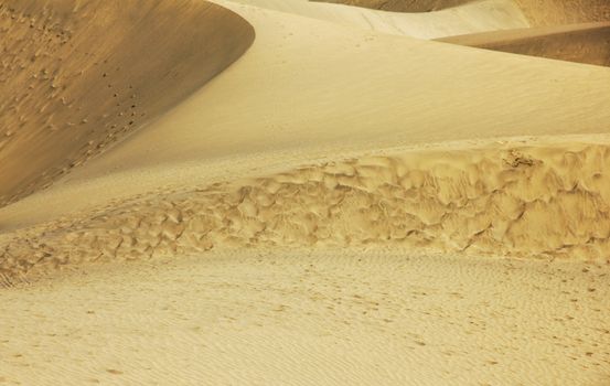 Spain. Canary Islands. Gran Canaria island. Dunes of Maspalomas