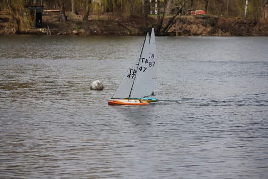 Yacht regatta competition