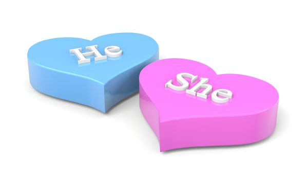 Couple of Blue and Pink Hearts with He She English Text on White Background Love Concept 3D Illustration