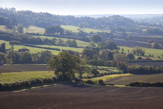 Rural field patterns in late summer, Gloucestershire, England.