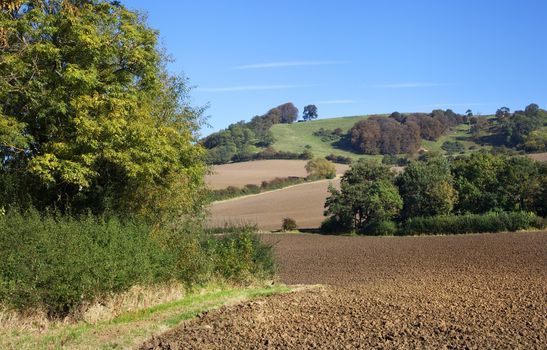Farmland at Meon Hill near the Cotswold village of Mickleton, Gloucestershire, England.