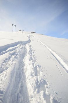 Ascent tour ski tracks on snowy slope with sparse larch and birch tree and winter scenic landscape