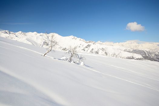 Candid off-piste ski slope in scenic background of high mountain peak