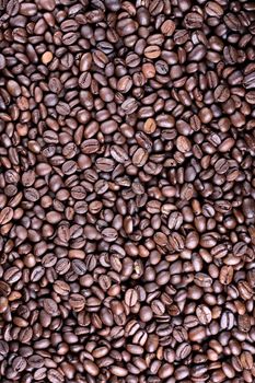 Many brown roasted coffee beans at background