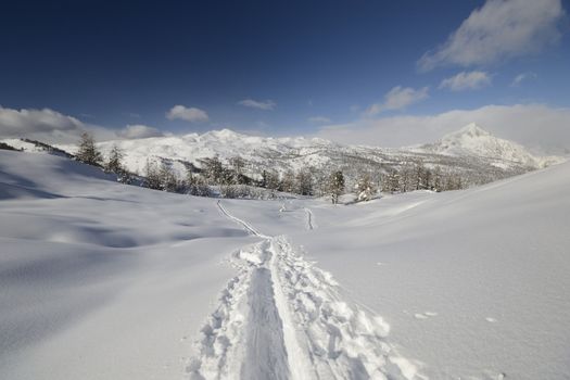 Off piste snowy ski slope in majestic high mountain scenery during ski touring activity in the italian Alps