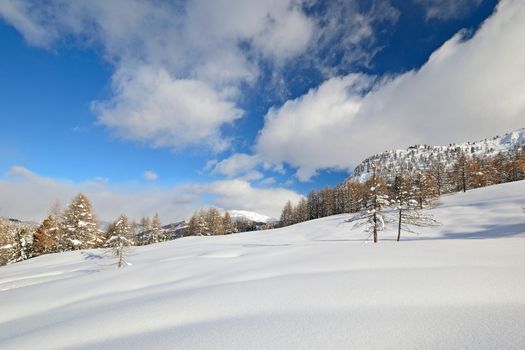 Off piste snowy ski slope in majestic high mountain scenery during ski touring activity in the italian Alps