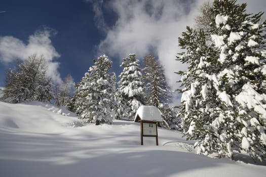 Winter landscape in the Alps after heavy snowfalls. Wide angle shot of larch trees covered by snow in a frozen environment