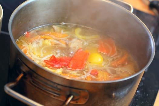Soup in the saucepan with vegetables