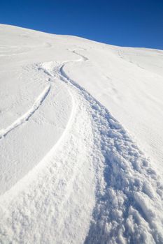 Ski touring (back country skiing) in majestic high mountain scenery, italian Alps