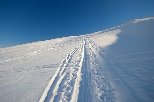 Ski touring (back country skiing) in majestic high mountain scenery, italian Alps