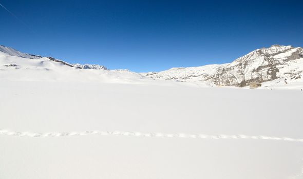 Wildlife traces on a snowy slope in scenic high mountain view, Gran Paradiso National Park, italian Alps