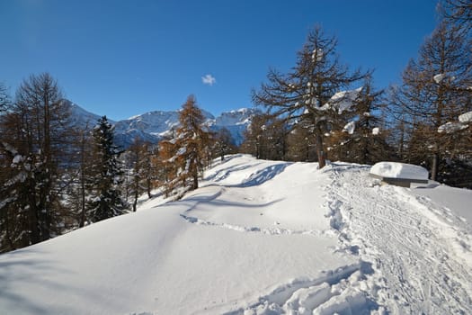 Back country ski tracks on the top of a mountain in a scenic alpine winter landscape