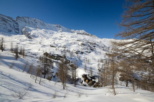 Candid off piste ski slope in scenic background of high mountain peaks, Gran Paradiso National Park, italian Alps