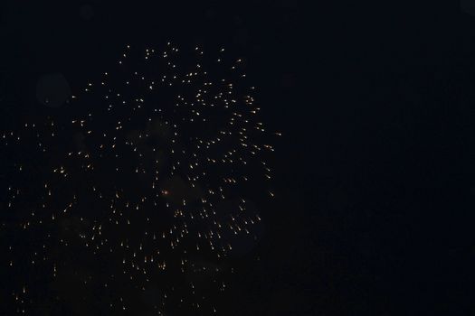Colorful firework in the black night sky