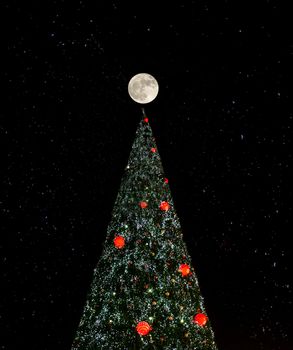 christmas tree in the night sky with full moon