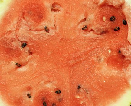 A fresh sugar red watermelon close up