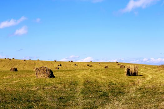 Straw roll bale on the field of farmland
