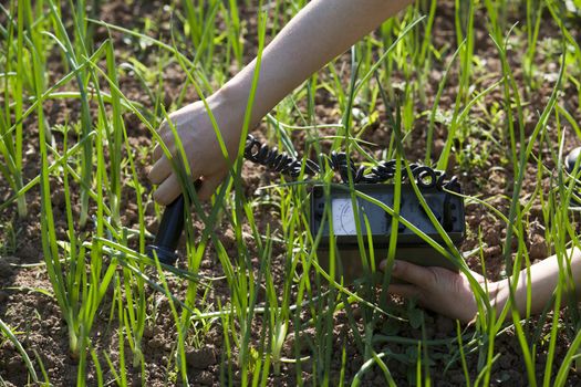 Measuring radiation levels of vegetables