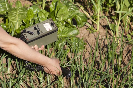 Measuring radiation levels of vegetables