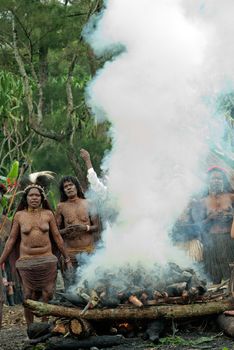 DUGUM DANI VILLAGE, BALIEM VALLEY, IRIAN JAYA, NEW GUINEA, INDONESIA - Juny 20, 2012:   In DUGUM Dani Village, Unidentified women of a Papuan tribe uses an earth oven method of cooking pig, in New Guinea Island,.  On Juny 20, 2012