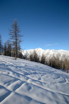 Candid off-piste ski slope in scenic background of mountain peaks, valleys and plain. Piedmont, Italian Alps