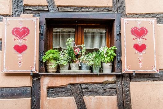 Traditional Windows with Herbs in Alsace, France