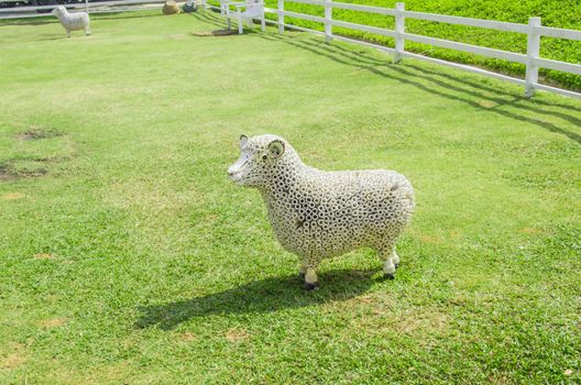Spring Sheep on farm