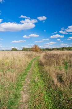 Nice landscape with autumn meadow under blue sky