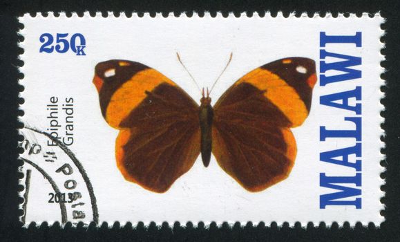 MALAWI - CIRCA 2013: stamp printed by Malawi, shows butterfly, circa 2013