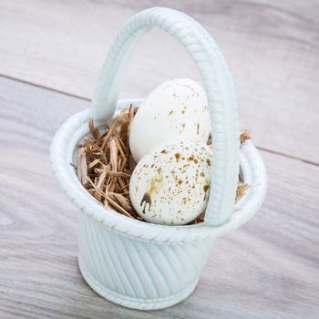 Three natural blue dyed Easter eggs in a basket with a single bird feather for a rustic seasonal celebration symbolic of the resurrection of Christ