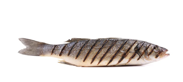 Close up of seabass grilled. Isolated on a white background.