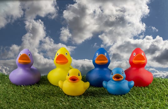 pink yellow red and blue ducks on green grass