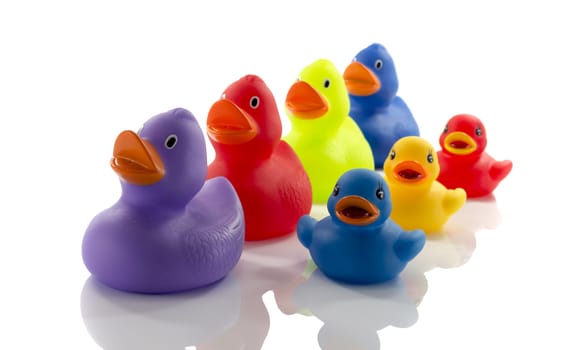 toy ducks isolated on white background