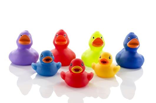 toy ducks isolated on white background