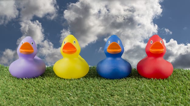 pink yellow red and blue ducks on green grass