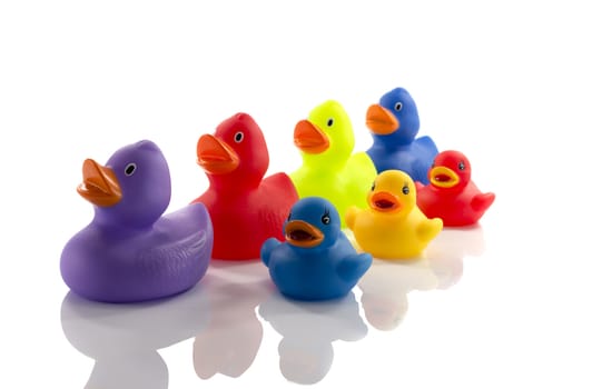 toy ducks isolated on white background