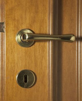 Wooden door with golden handle and keyhole