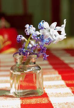 Blue lilies in a small glass vase over white and red cloth