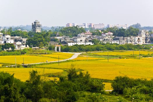 Rural landscape around at Kaiping Diaolou in China, Unesco world heritage site.