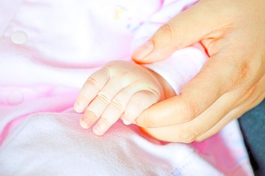 Adult holding a baby hand