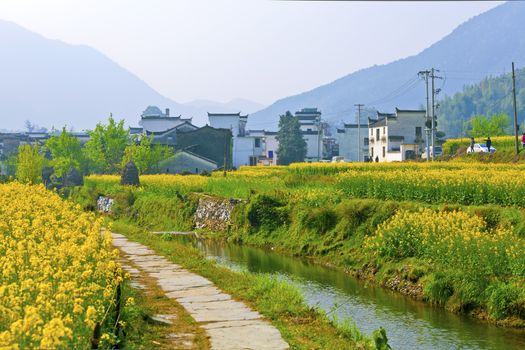 Rural landscape and houses in Wuyuan, China.