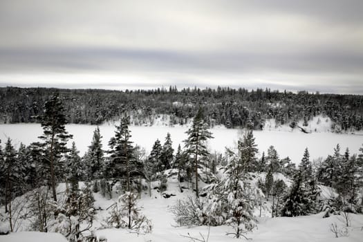 Winter landscape, snow, ice, wood, trees, sky, frozen, lake