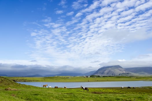 Beautiful lake against mountain background, Iceland, good summer weather