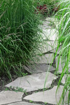 Stone path in the summer garden with decorative grass.