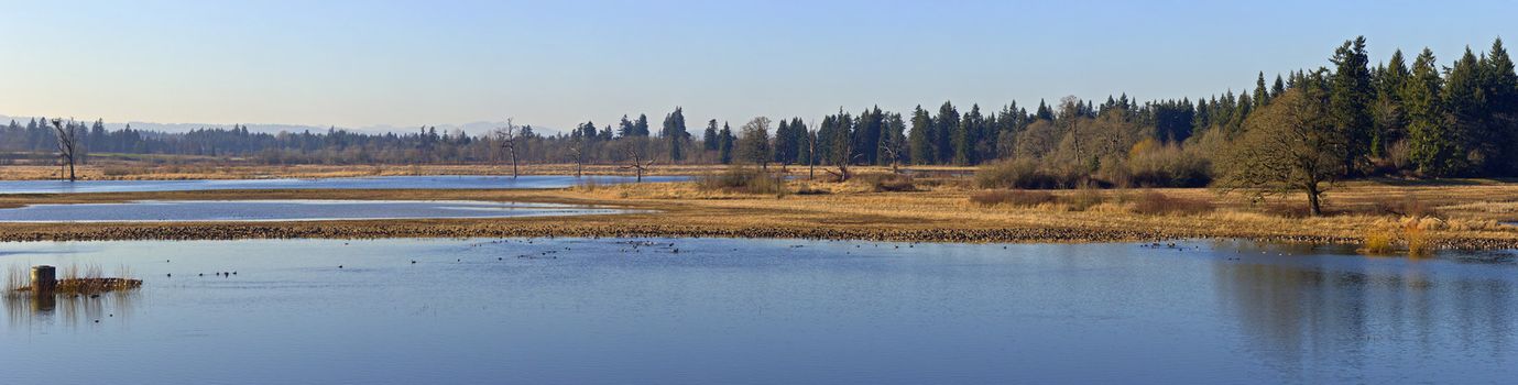 Tualatin national wildlife refuge panorama Oregon.