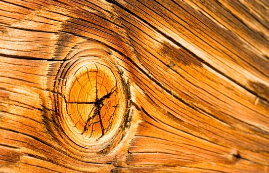 Interesting Orange weather wood plank with a big knot