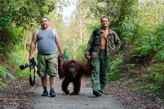 Photographers Andrey Gudkov and Sergey Uryadnikov walk  with an orangutan. Indonesia. Borneo
