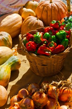 Vegetable Market in the Portugal City