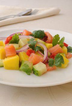 dish of salmon and coriander, mango, cucumber, red pepper, chili