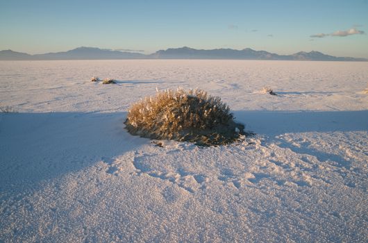 The Bonneville Salt Flats is a densely packed salt pan in Tooele County in northwestern Utah. The area is a remnant of the Pleistocene Lake Bonneville and is the largest of many salt flats located west of the Great Salt Lake.